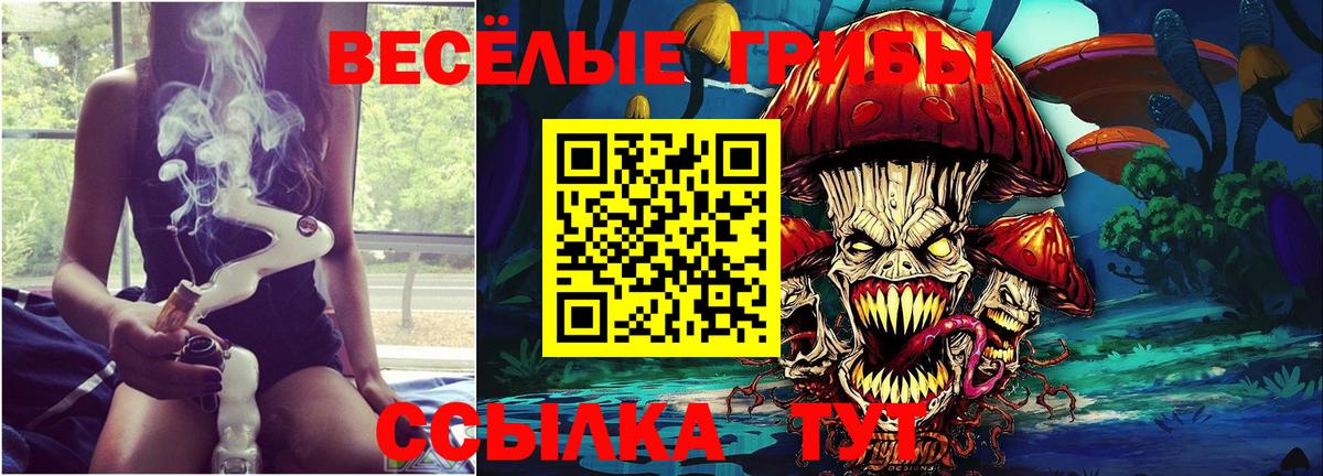 Ивантеевка  Галлюциногенные грибы Psilocybine cubensis  что такое наркотик  Галлюциногенные грибы мицелий  Вход с VPN 